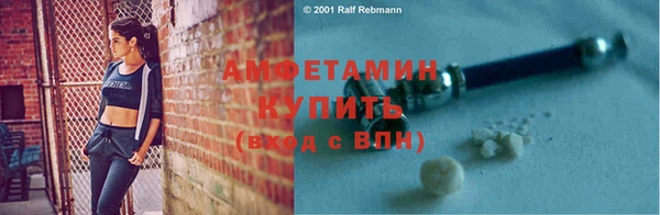 шишки Дмитриев