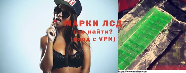 шишки Дмитриев