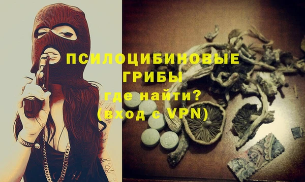 тгк Дмитровск