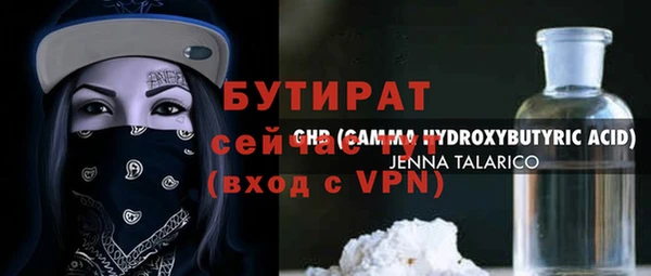 шишки Дмитриев