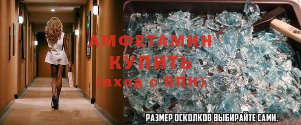 шишки Дмитриев