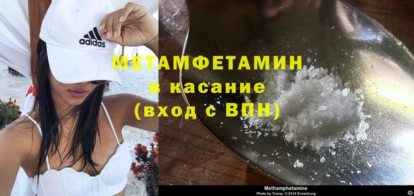 шишки Дмитриев