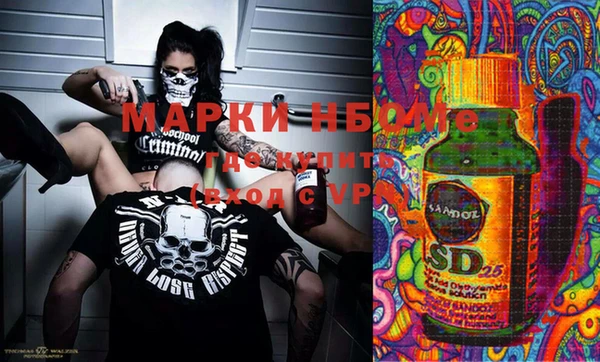 шишки Дмитриев