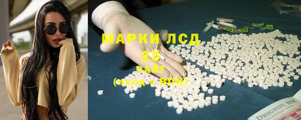 шишки Дмитриев