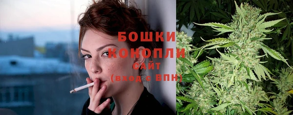 тгк Дмитровск