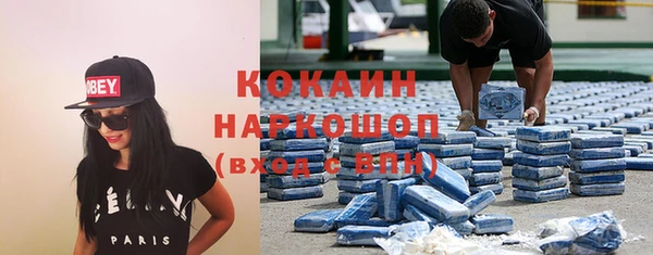 шишки Дмитриев