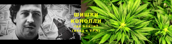 шишки Дмитриев