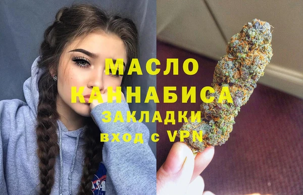 тгк Дмитровск