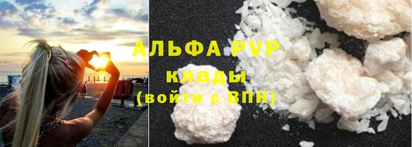 шишки Дмитриев