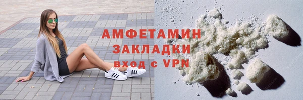 шишки Дмитриев
