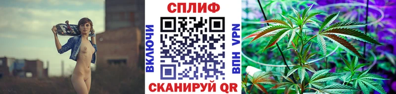 Купить где  Почеп  Шишки марихуана планчик 